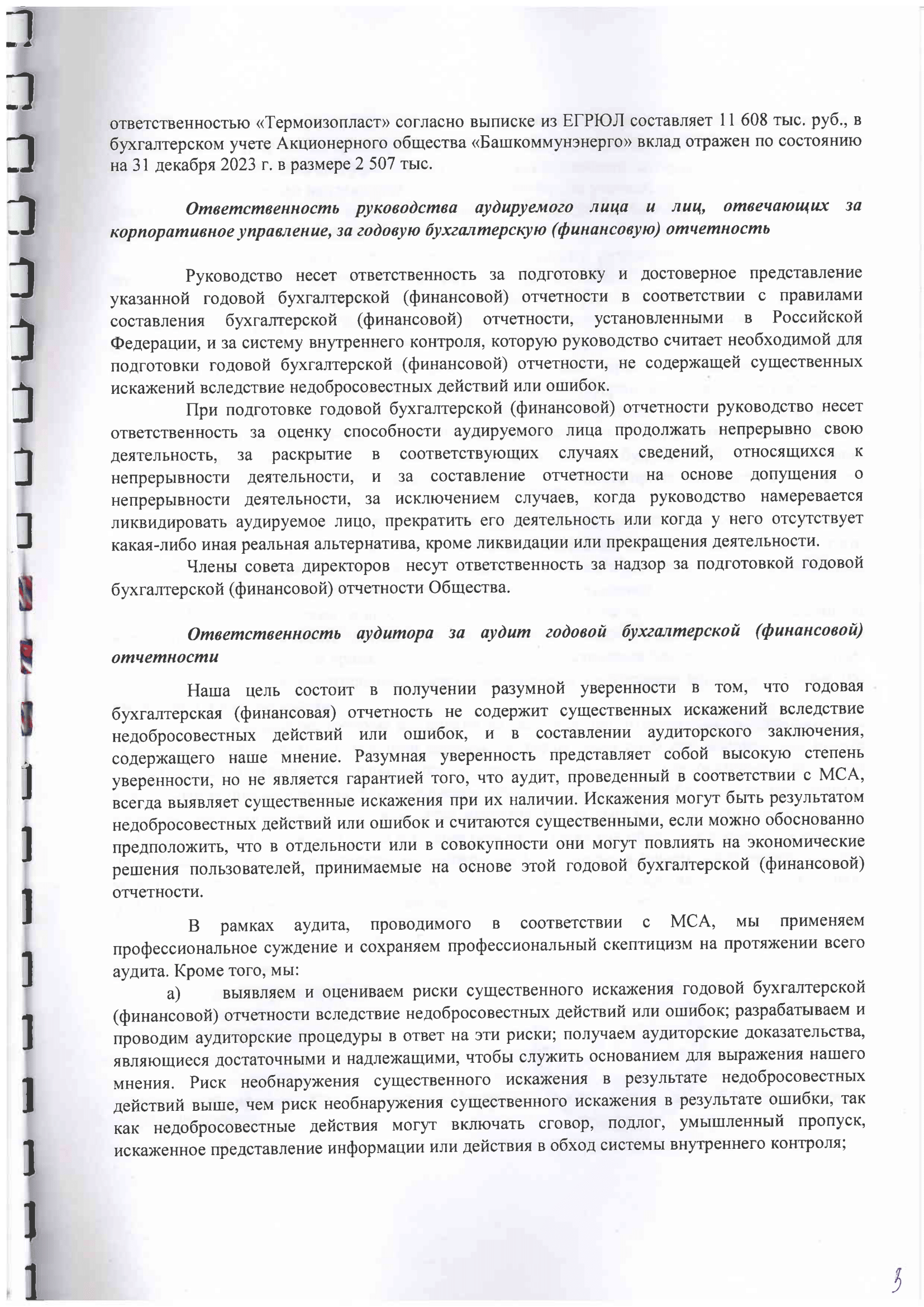 Аудиторское заключение за 2023-3